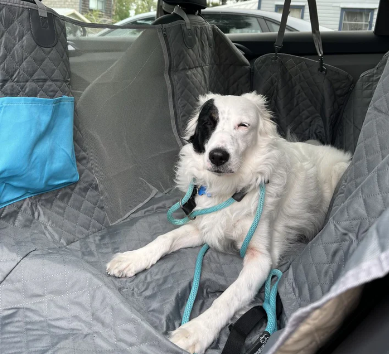 Waterproof Non-Slip Car Seat Hammock Cover With Pockets, Side Flaps, Headrest Straps, Seat-Anchors, & Mesh Window