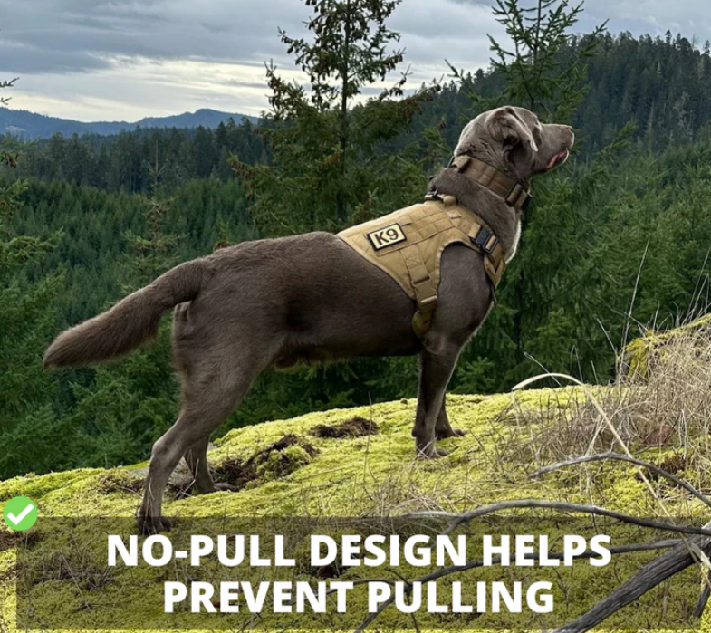 Tactical No-Pull Dog Harness with Quick-Release Metal Buckles, Reinforced Front & Back D-Rings, Hook & Loop Panels, Adjustable Straps, Reflective Strips, & Top Handle